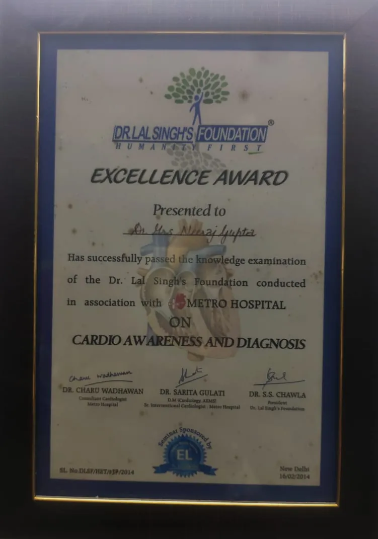 Excellence Award (2014)